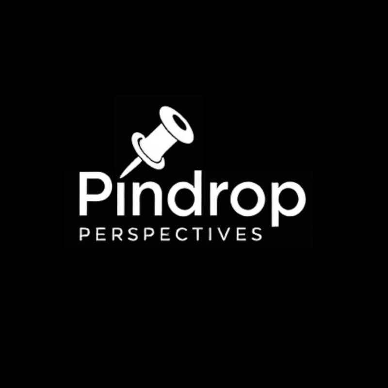 Pindrop Perspectives — artwork